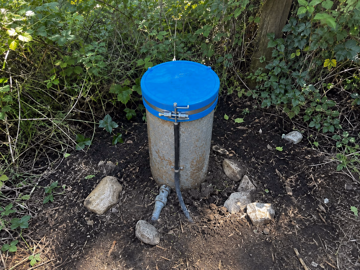 Metal well casing with blue lid, surrounded by dirt, rocks, and green foliage in a wooded area.